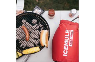 Image of IceMule Coolers Classic Small Cooler, 10 Liters, Crimson Red, 1004-CR