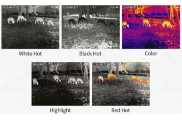 Image of Infiray Affo AP09 Handheld Monoculars, 1.3x9mm, 20mm Eye Relief, Grey, Medium, AP09