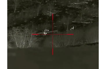 Image of InfiRay Outdoor 3x 50mm RICO Mk2 LRF Thermal Weapon Sight, 640x513, 60 Hz, Black, IRAY-RH50R