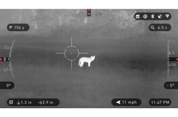 Image of Thermal infrared view in grayscale. 