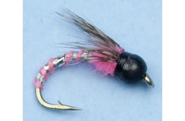 Image of Jackson Cardinal Nymphs