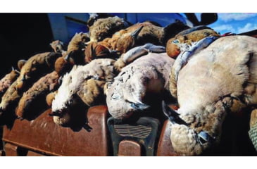 Image of Jebs Choke Tubes Upland and Windshooting 20 Gauge Choke Tube, Benelli/Beretta Mobl, .590 Improved Upland Tube, Matte Stainless, JPC - 20F2/590