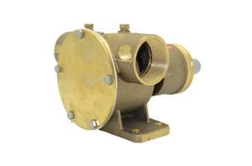 Image of Johnson Pump 10-13021-96 Npt Pedestal Mount Pump 1in Shaft, 10-13021-96