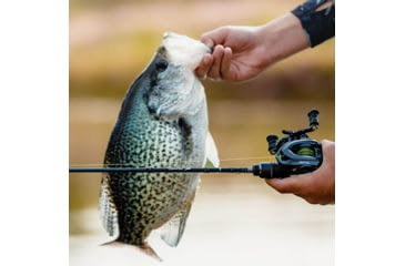 Image of Kast King Kestrel Finesse Fishing Rod, Casting 6 9 2pc Fast-Ultra-Light, KKRDCSTKS63ULBF2