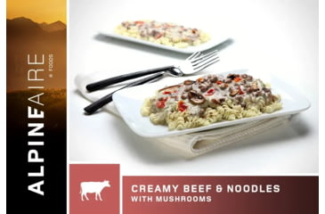 Image of Katadyn Creamy Beef and Noodles w/Mushrooms, One Size, 62405