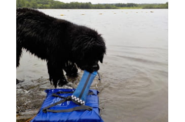 Image of Katies Bumpers Heave Hose Big Mouth Blue HH4BLU
