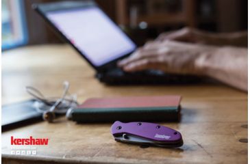 Image of Kershaw Leek Assisted Opening Folding Knife, 3 in, 14C28N, Drop Point Blade, 6061-T6 Aluminum, Purple Handle, 1660PUR