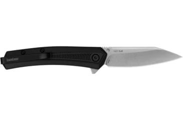 Image of Kershaw Raygun Assisted Opening Folding Knife, 2.8in, 4Cr14, Reverse Tanto, Glass-filled Nylon Black Handle, 1427