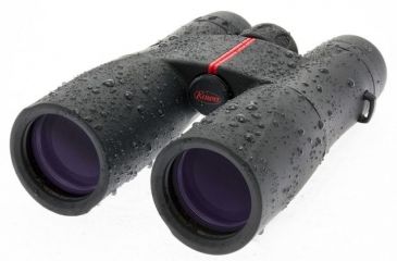 Image of Kowa SVSeries, 8x42 Roof Prism Binocular, Black, 42mm SV42-8