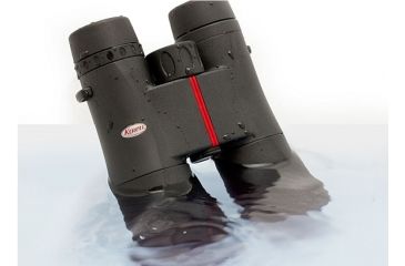 Image of Kowa SVSeries, 8x42 Roof Prism Binocular, Black, 42mm SV42-8