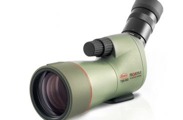 Image of Kowa TSN-553 55mm Prominar Pure Fluorite Angled Spotting Scope w/ 15-45x Zoom Eyepiece, Green, Compact, TSN-553