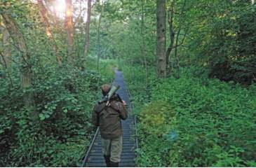 Image of Kowa TSN-99A Pure Fluorite Spotting Scope with TE-11WZ II 30-70x Zoom Eyepiece, Angled, Green, TSN-99A ZM SET