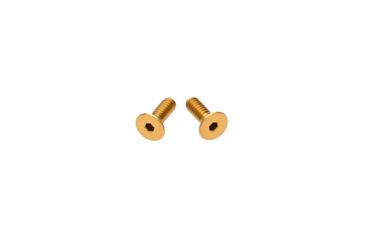 Image of L2D Combat RMR Mounting Screw Set, Titanium Nitride, LD-P-RMR-TIN