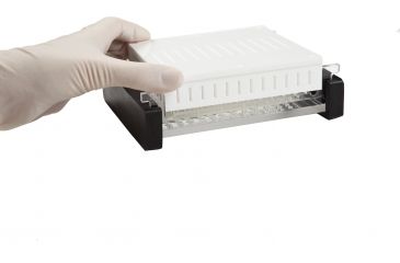 Image of Labnet Midi, 96 Well Tray E1010-96T
