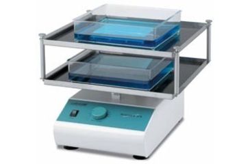 Labnet Problot 25d Economy Rocker With Double Platform (28.9 X 20.3 Cm ...