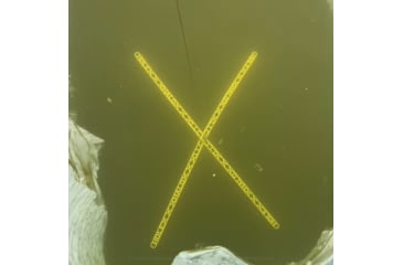 Image of Lakco Hole HALO