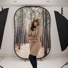 Image of Lastolite Camera Lighting Equipment Steps/Trees 5 x 7 Perspective LL LB5740