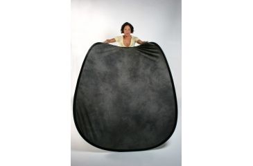 Image of Lastolite 5'x6' Collapsible Reversible Background Train, Washington Dakota LLLB67WD 