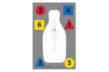 Image of Law Enforcement Targets DT-ANTQ-A MultiPurpose FBI-Q/Vital Anatomy/Commands 23x35 Inch 100 Per Case