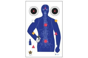 Image of Law Enforcement Targets SSO-99 Modified B-21E Target With Human Anatomy/Bullseyes/Command 23x35 Inch 100 Per Case