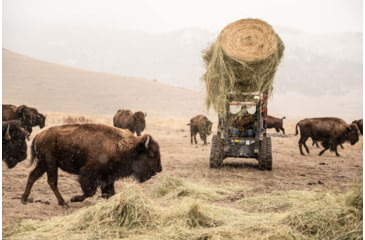 Image of Leatherman Bond 14 Multi-Purpose Tool, Stainless Steel, 832934