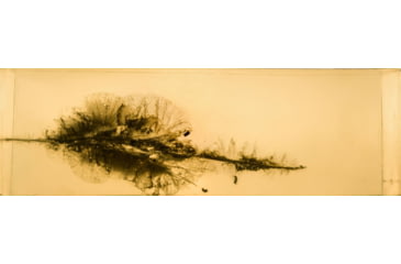 Image of Lehigh Defense .224 Caliber 62 Grain Controlled Chaos Centerfire Rifle Bullets, 50 Rounds, 05224062CuSP