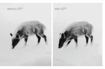 Image of Leica Calonox 2 Sight 1x Thermal Rifle Scope, 60 Hz, 1280 x 960, Black, 50511