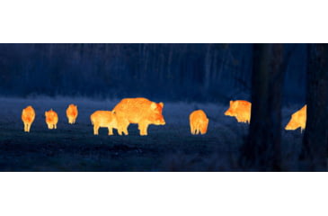 Image of Leica Calonox Sight 1 x 42mm Thermal Imaging Rifle Scope, Tube 60mm, Black, 50500