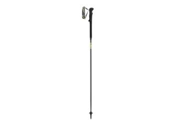 Image of Leki Micro RCM Trekking Pole, 110, TR6432586110