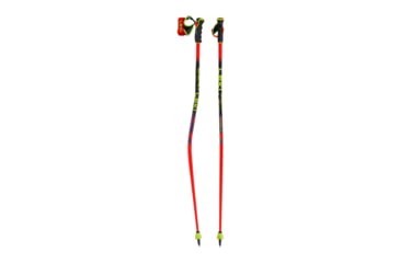 Image of Leki Usa WCR PRO GS TR, 65667771125