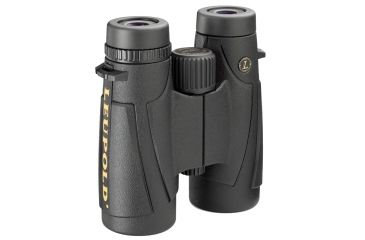Image of Leupold BX-1 McKenzie Binocular, 10x42mm Black 119198