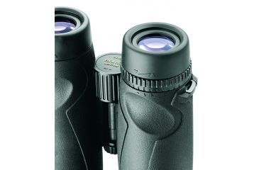 Image of Leupold BX-4 McKinley HD 8X42mm Roof Prism Binoculars, Black 117789
