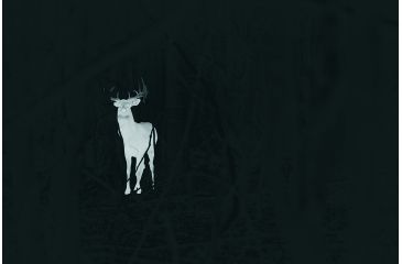 Image of Leupold LTO-Tracker, 6x Digital Zoom Thermal Imaging Monocular, Black, 172830