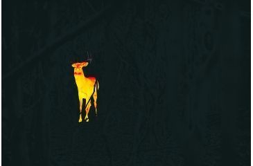 Image of Leupold LTO-Tracker, 6x Digital Zoom Thermal Imaging Monocular, Black, 172830