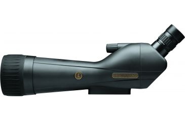 Image of Leupold SX-1 Ventana 2 20-60x80mm Angled Gray/Black 170761