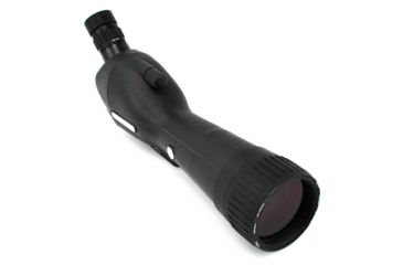 Image of Leupold SX-1 Ventana 2 20-60x80mm Angled Gray/Black 170761