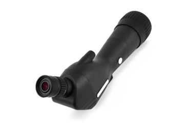 Image of Leupold SX-1 Ventana 2 20-60x80mm Angled Gray/Black 170761