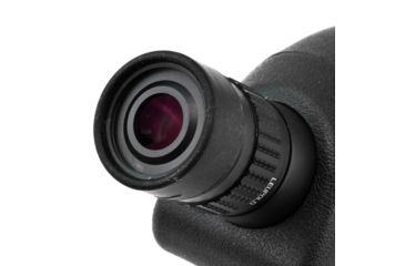 Image of Leupold SX-1 Ventana 2 20-60x80mm Angled Gray/Black 170761