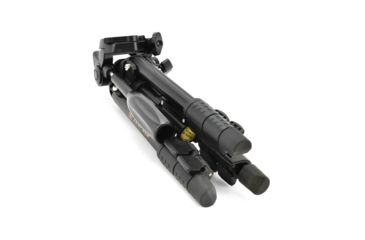 Image of Leupold SX-1 Ventana 2 20-60x80mm Angled Kit Gray/Black 170762