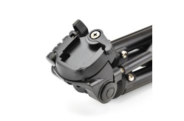 Image of Leupold SX-1 Ventana 2 20-60x80mm Angled Kit Gray/Black 170762