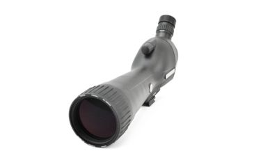 Image of Leupold SX-1 Ventana 2 20-60x80mm Angled Kit Gray/Black 170762