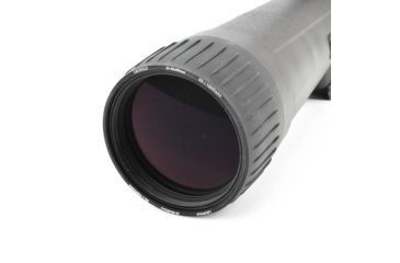 Image of Leupold SX-1 Ventana 2 20-60x80mm Angled Kit Gray/Black 170762