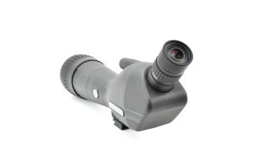 Image of Leupold SX-1 Ventana 2 20-60x80mm Angled Kit Gray/Black 170762