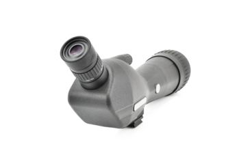 Image of Leupold SX-1 Ventana 2 20-60x80mm Angled Kit Gray/Black 170762