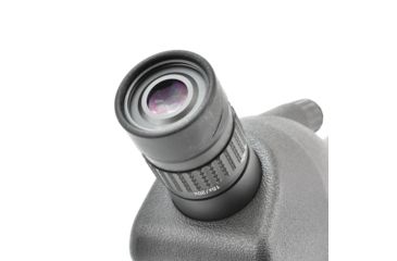 Image of Leupold SX-1 Ventana 2 20-60x80mm Angled Kit Gray/Black 170762