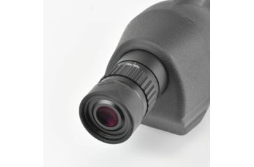 Image of Leupold SX-1 Ventana 2 20-60x80mm Kit Gray/Black 170760