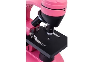 Image of Levenhuk 1280x NG Microscope, Rose, Medium 66810