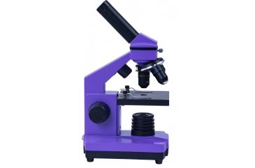 Image of Levenhuk 2L NG Microscope, Amethyst, Medium 24601