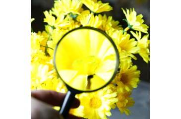 Image of Levenhuk Zeno Handy ZH5 Magnifier, Black, Small, 74046