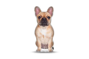 Image of Lifelike Pillows Custom Dog Shaped Pillow, French Bulldog, Fawn, 16 inch Tall/4 inch Thick, DOG12-SH-16